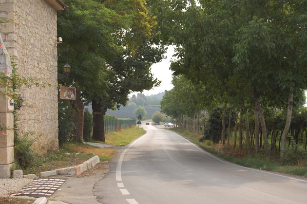 la strada d'ingresso all'agriturismo I Costanti