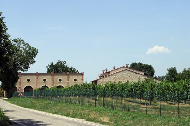 immagine del b&b circondato dai vigneti