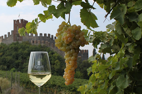 Vini e dolci di Soave